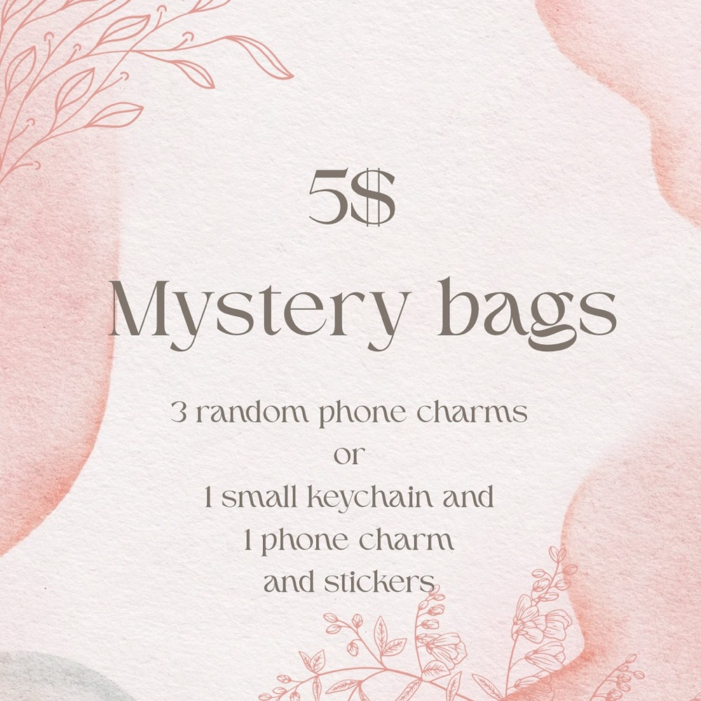 Stylish Mystery Bags with Accessories
